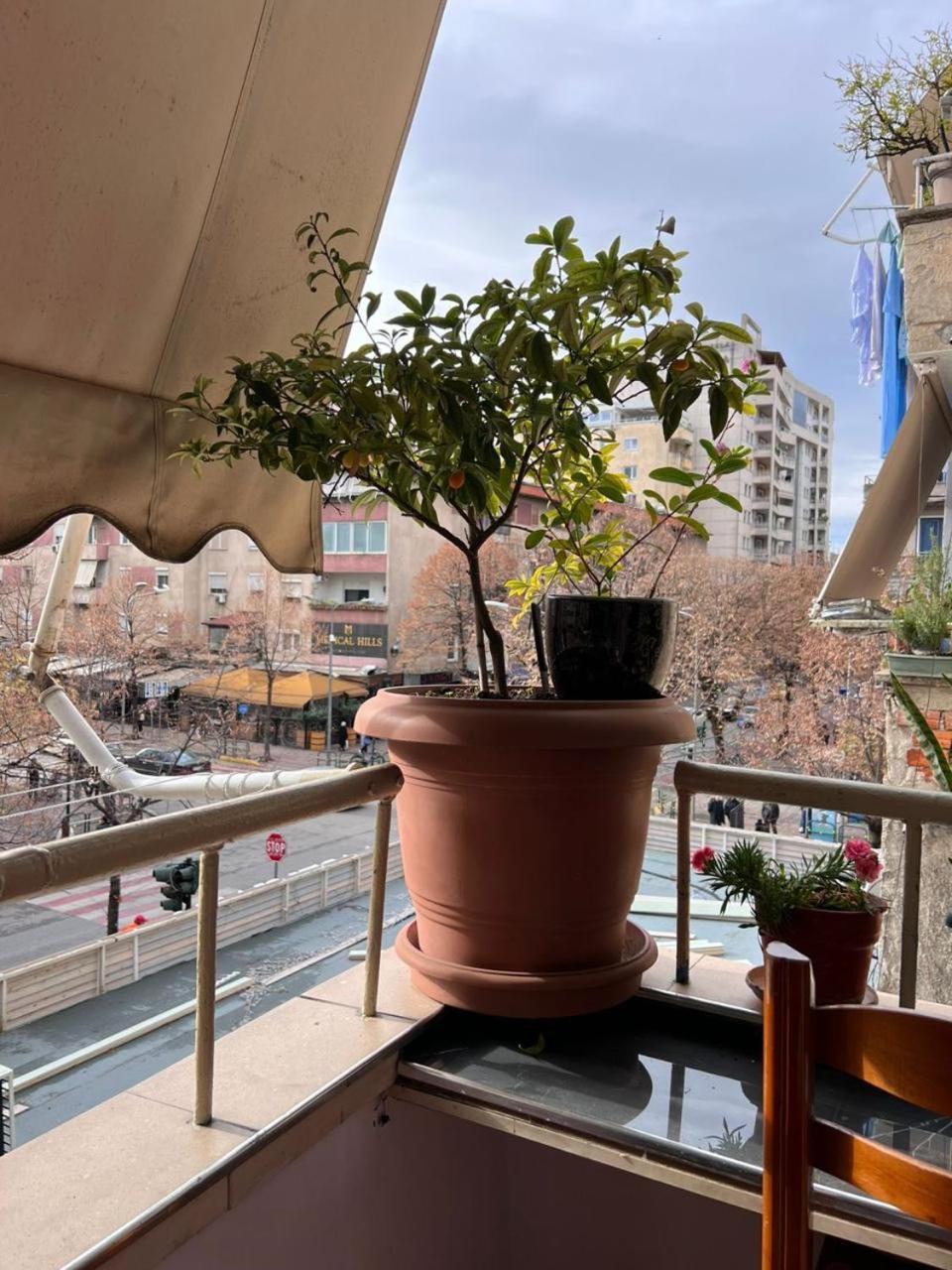 3M Urban Stay Tirana Esterno foto